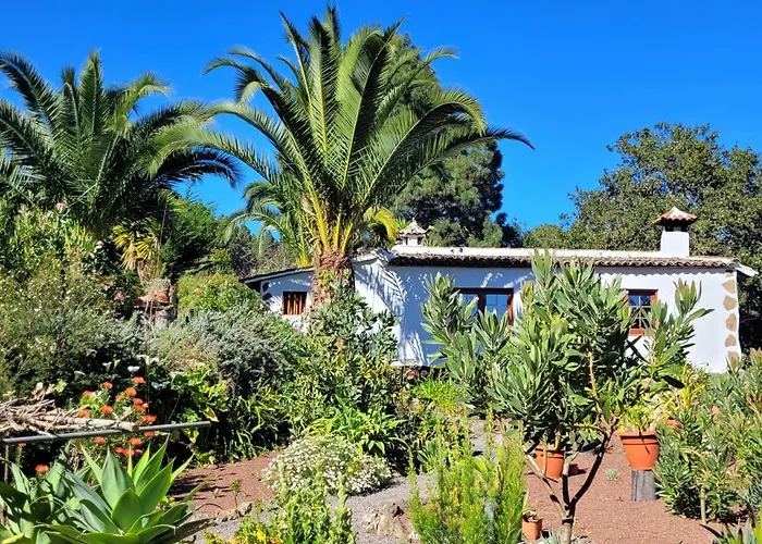 Llano De La Cebolla Landsted Icod De Los Vinos