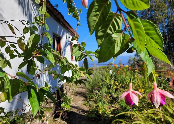 Llano De La Cebolla *