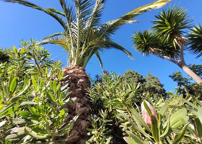 Llano De La Cebolla إيكود ذي لوس فينوس