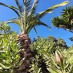 Llano De La Cebolla إيكود ذي لوس فينوس