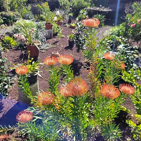 Hétvégi ház Llano De La Cebolla *