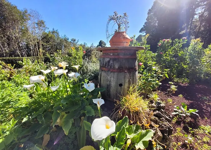Llano De La Cebolla Séjour à la campagne Icod De Los Vinos