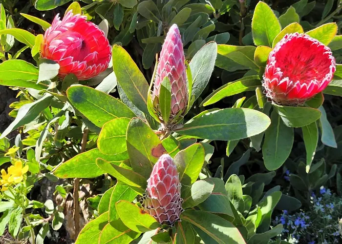 Llano De La Cebolla Séjour à la campagne *