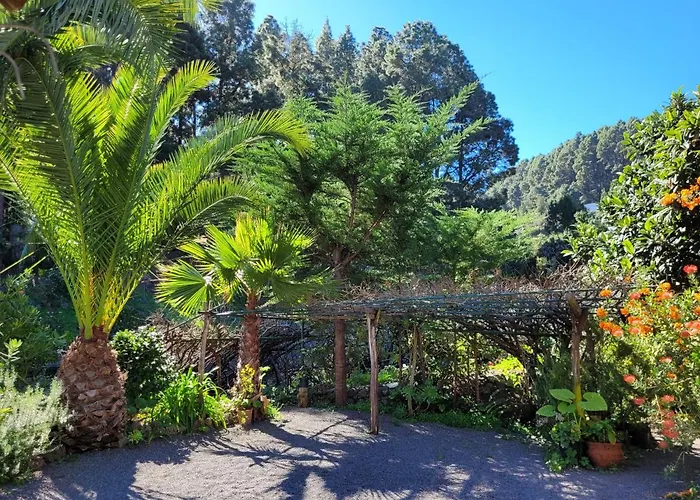 Llano De La Cebolla Séjour à la campagne Icod De Los Vinos