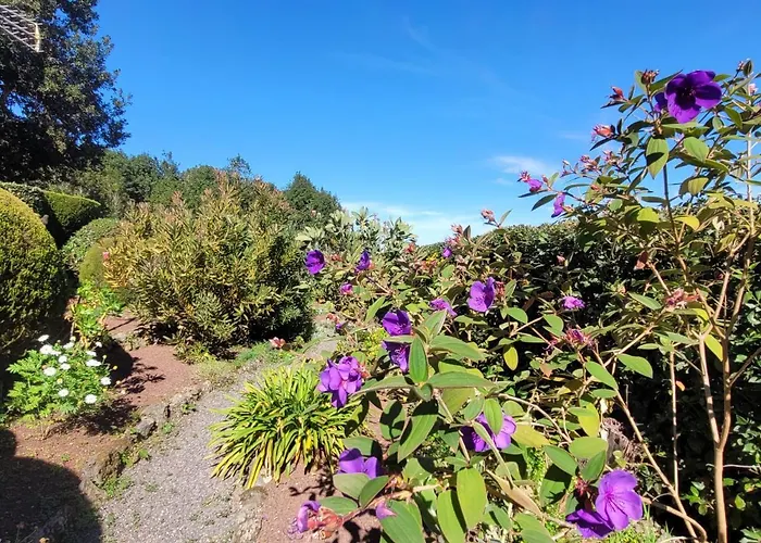 Llano De La Cebolla Kır Evi