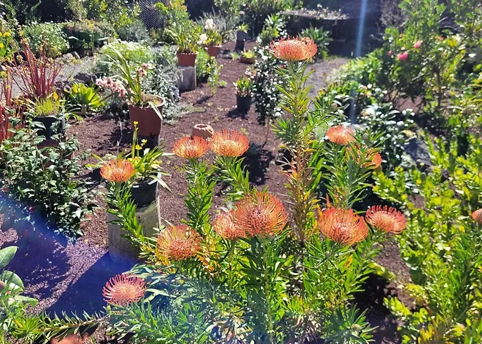 Kır Evi Llano De La Cebolla *